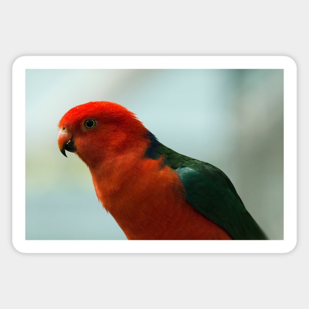 King Parrot Sticker by Bevlyn